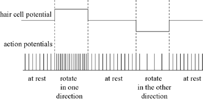 frequency modulation