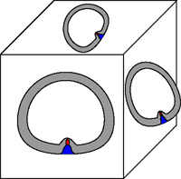 oreinetation of the three canals